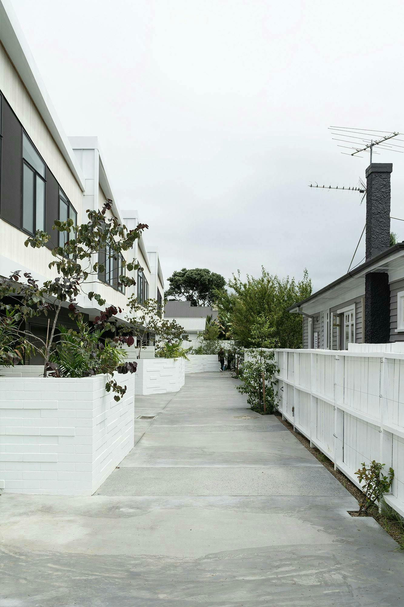 350 Point Chevalier Terraces Multi unit Construkt Architects Auckland Driveway 3