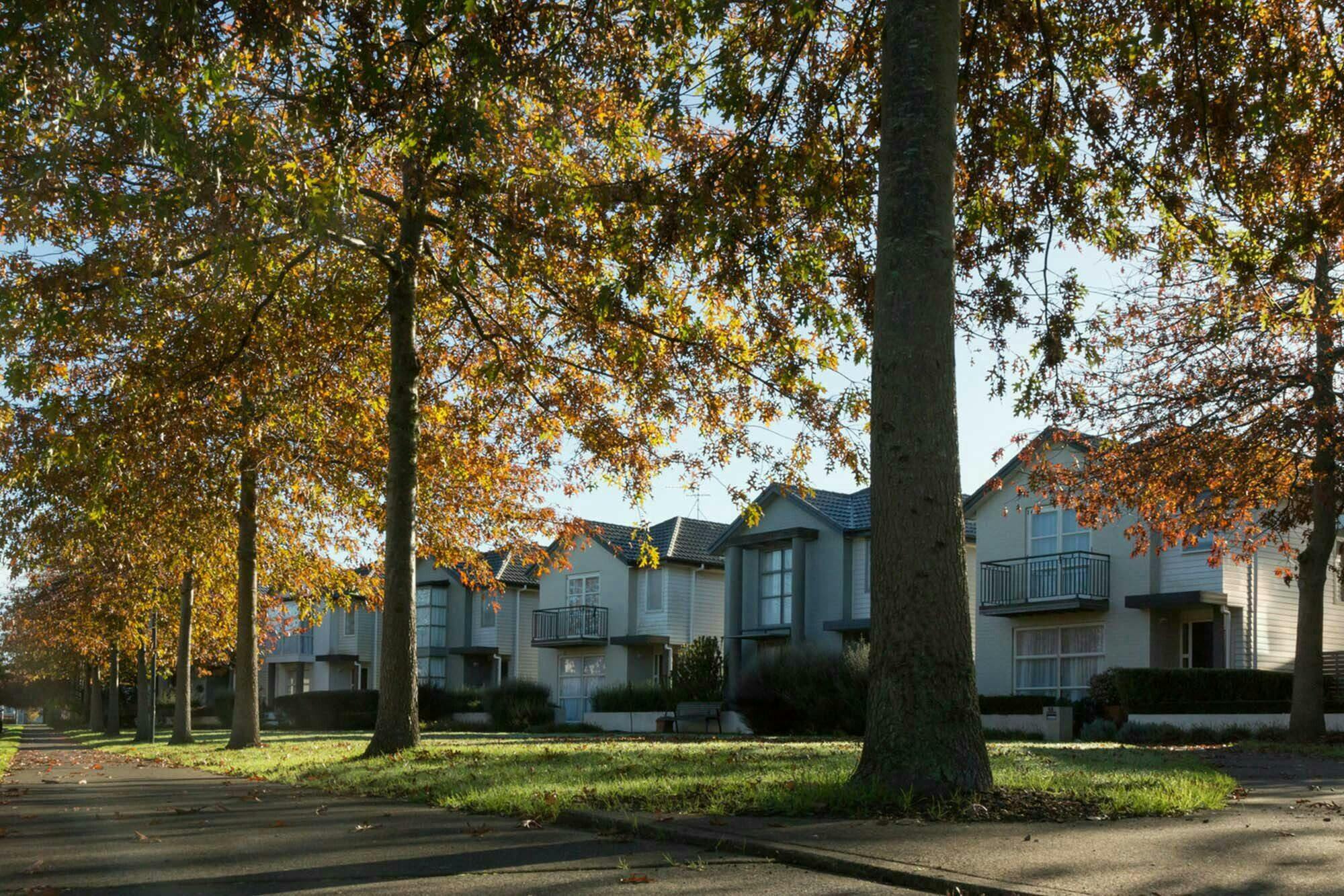 Addison Balance Land Masterplanning Construkt Architects Auckland Trees