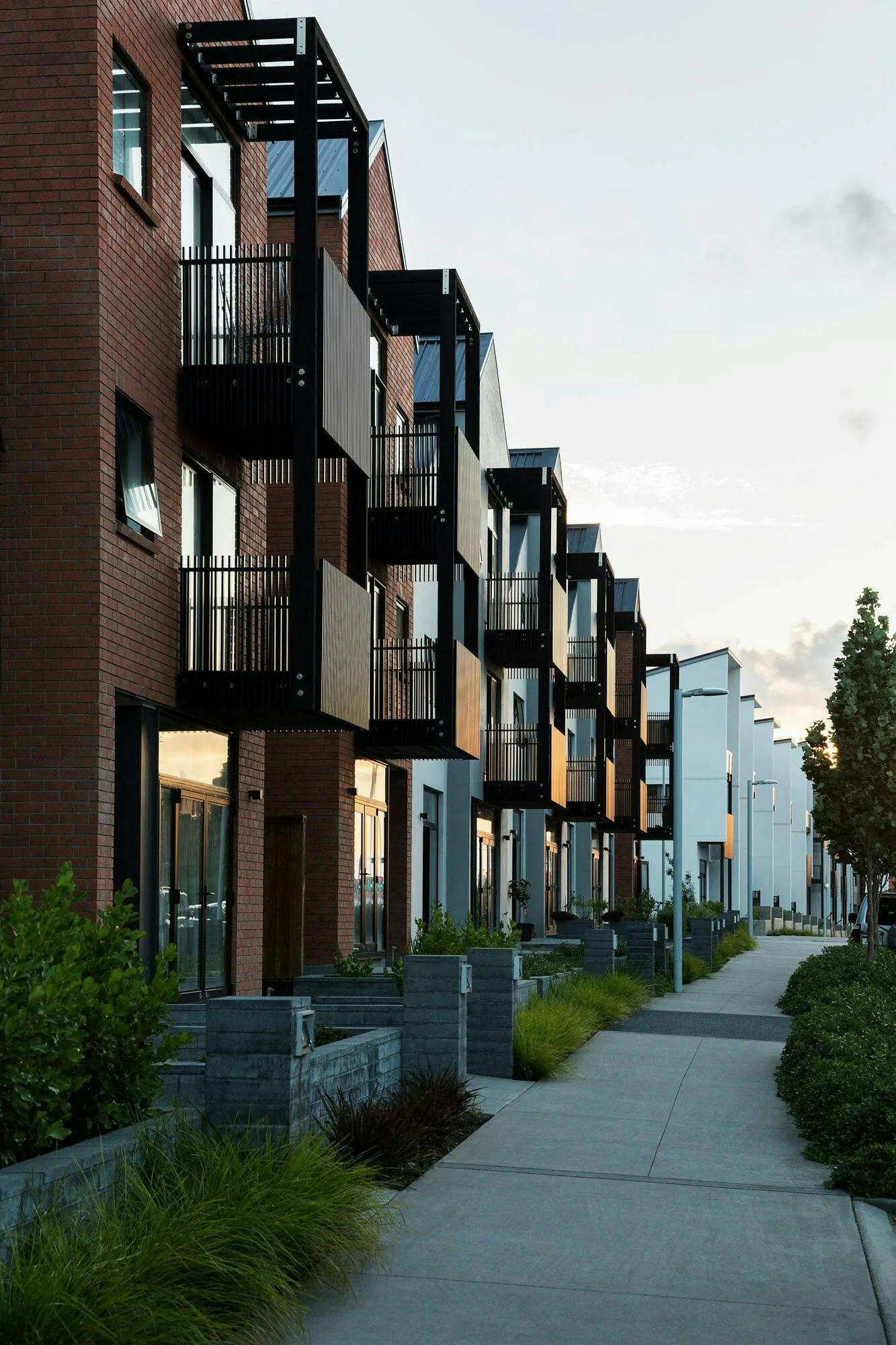 Buckley A Precinct Superlot BA28 Terrace Multi unit Construkt Architects Auckland Entrances
