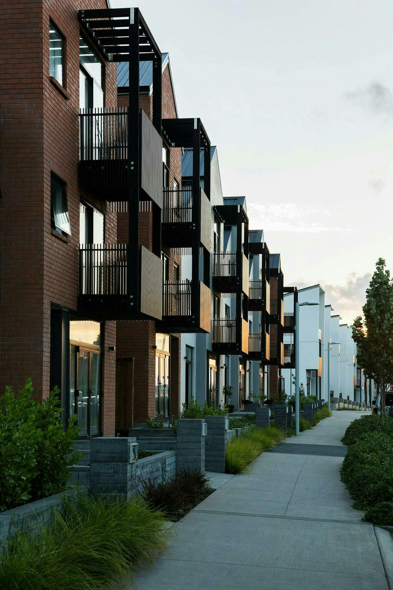 Buckley A Precinct Superlot BA28 Terrace Multi unit Construkt Architects Auckland Entrances