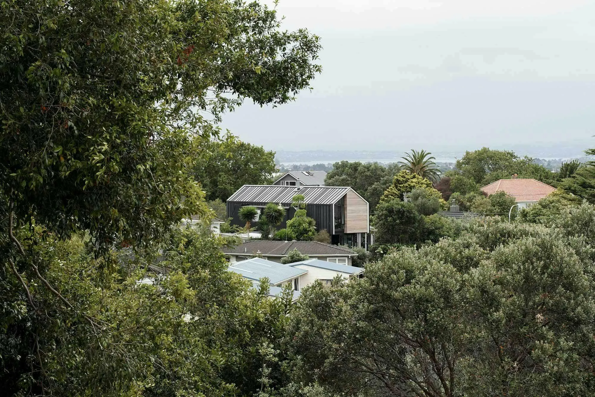 Dally Terrace Modern Standalone Construkt Architects Auckland