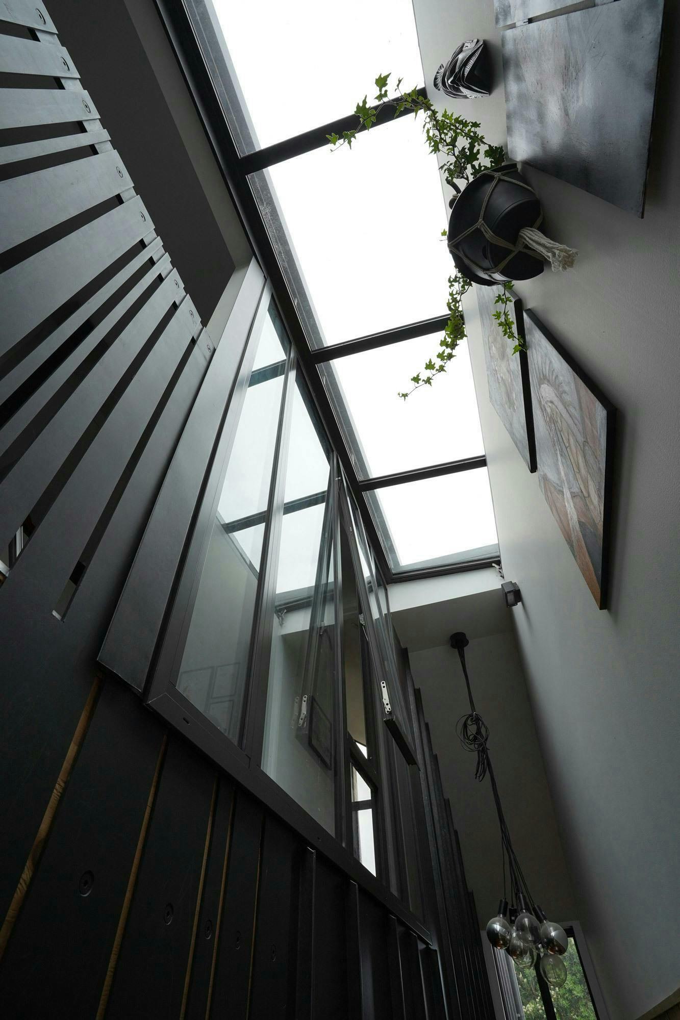 Dally Terrace Modern Standalone Construkt Architects Auckland Lightwell