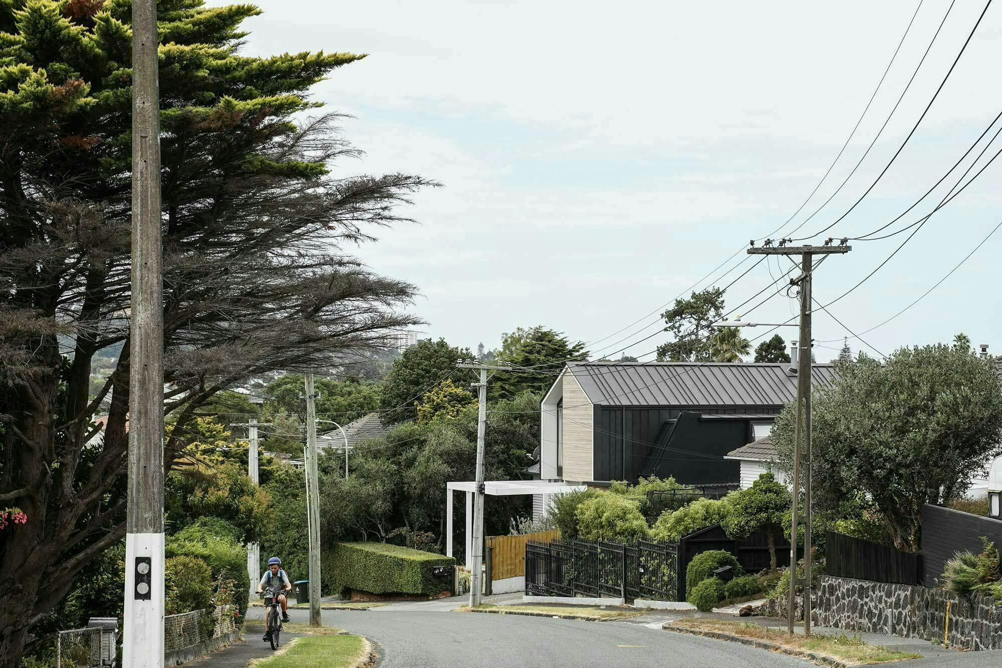 Dally Terrace Modern Standalone Construkt Architects Auckland Street View