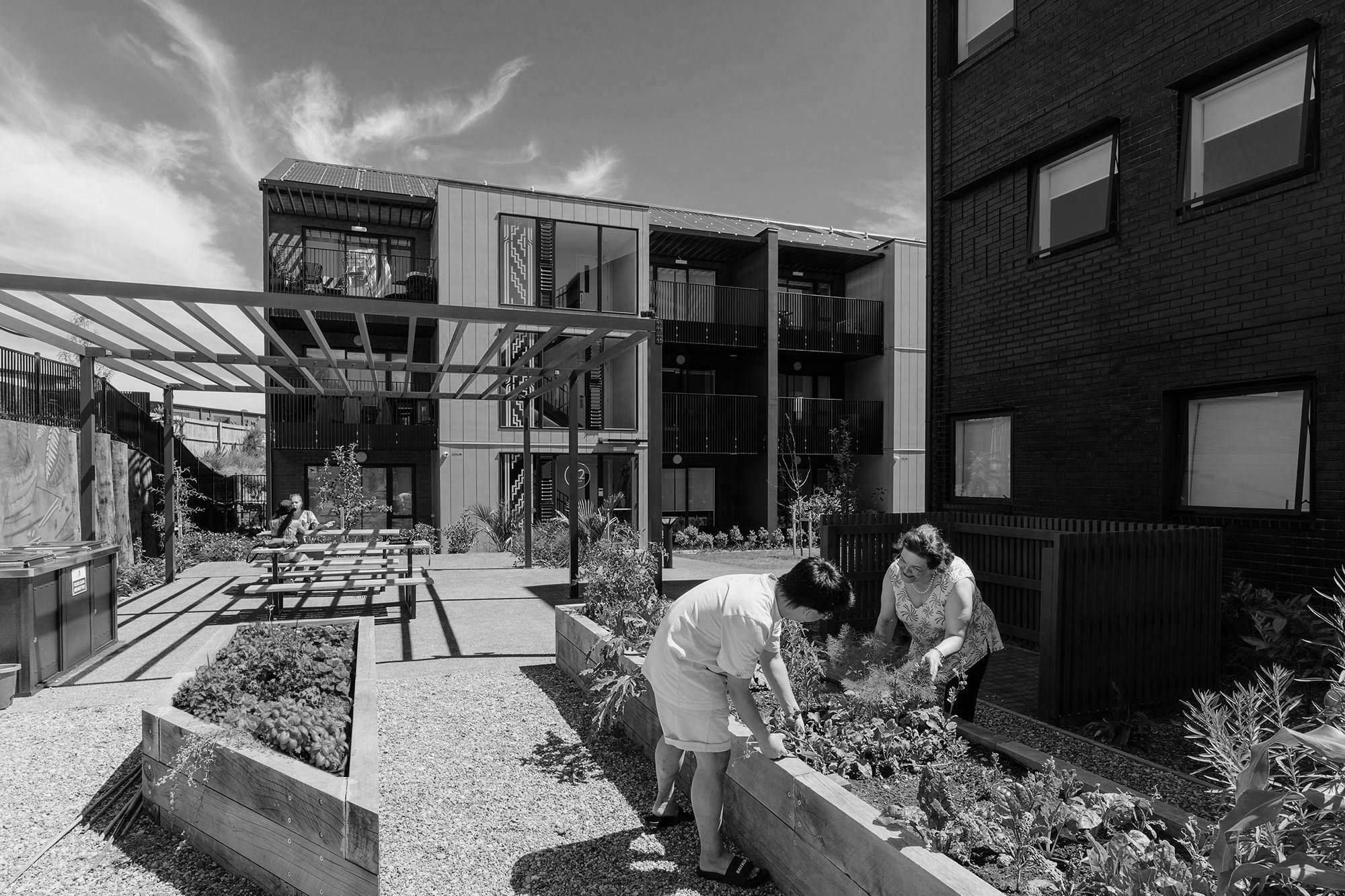 Moroki Apartments Modern Apartments Construkt Architects Auckland Communal area news