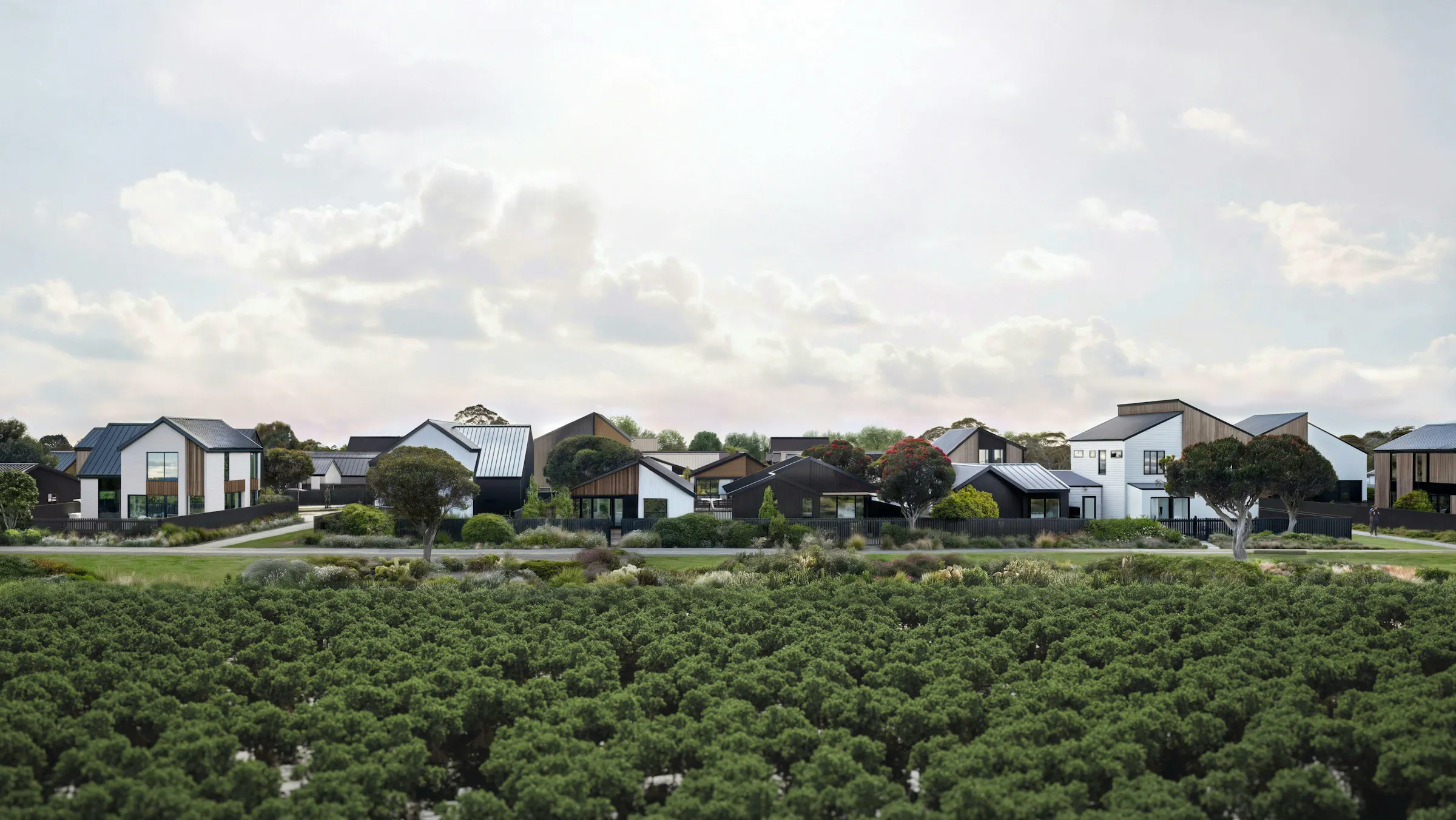 Port Nikau Masterplan Masterplan Construkt Architects Auckland Vegetation