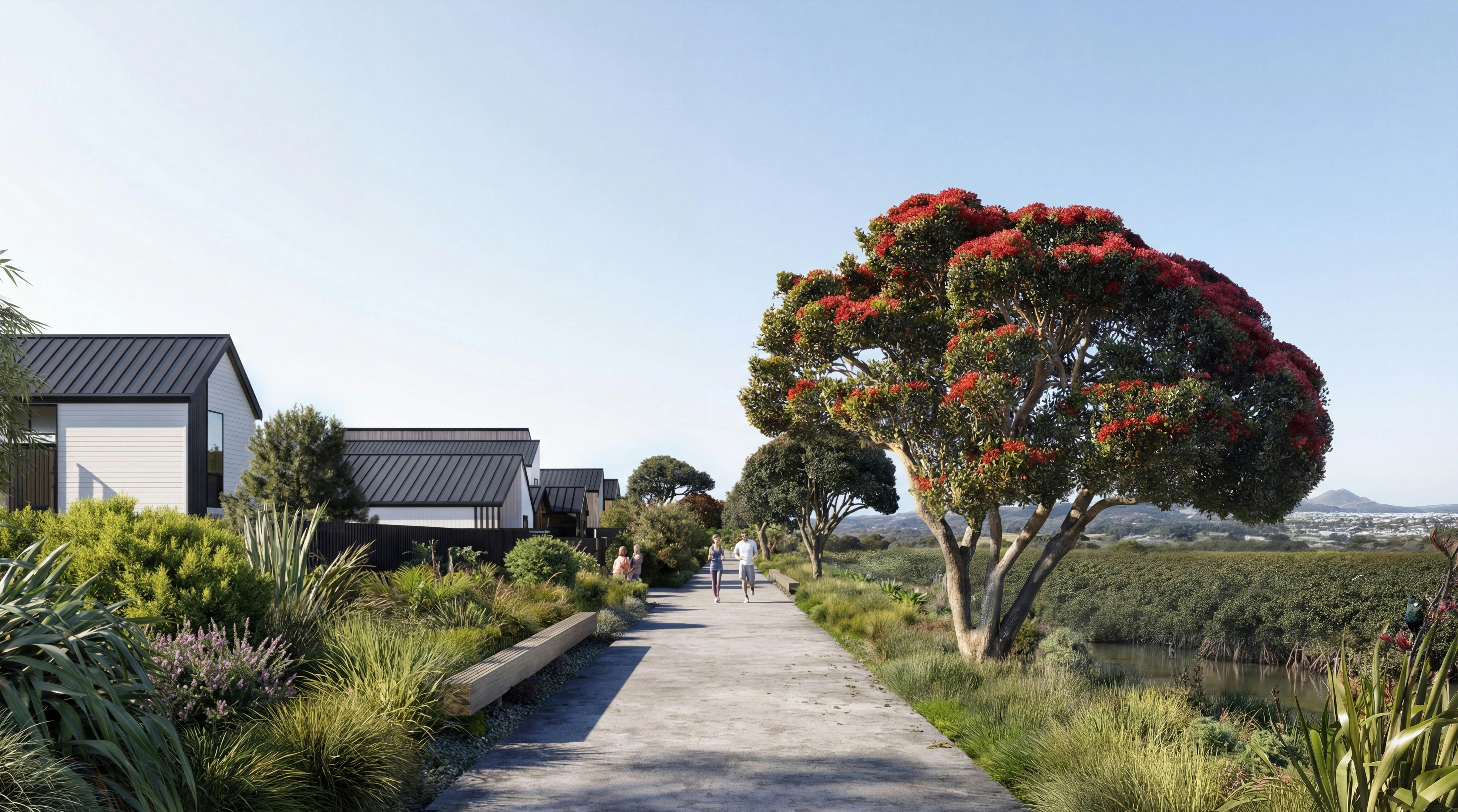Port Nikau Masterplan Masterplan Construkt Architects Auckland Walkway