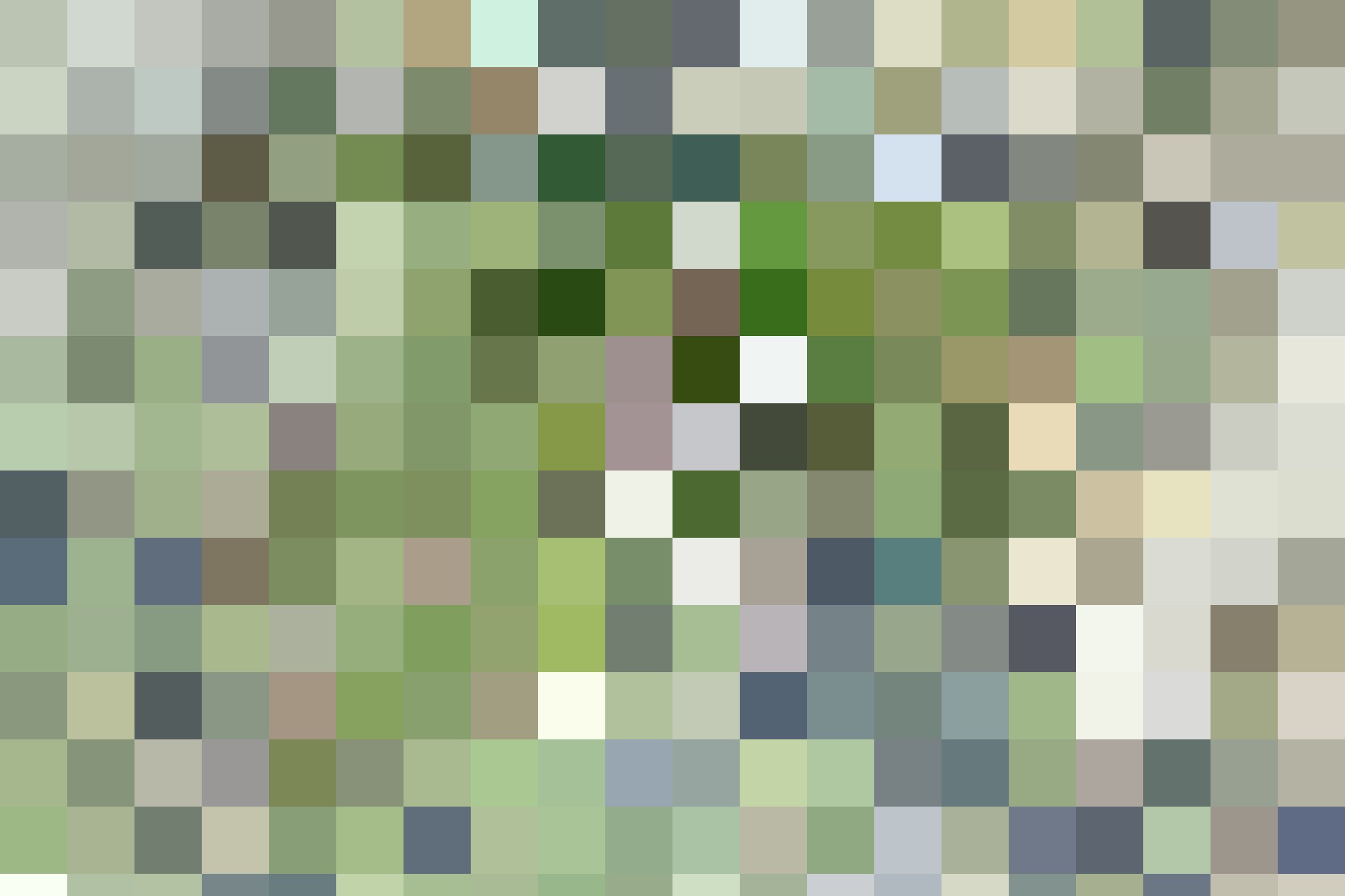 Huapai 1