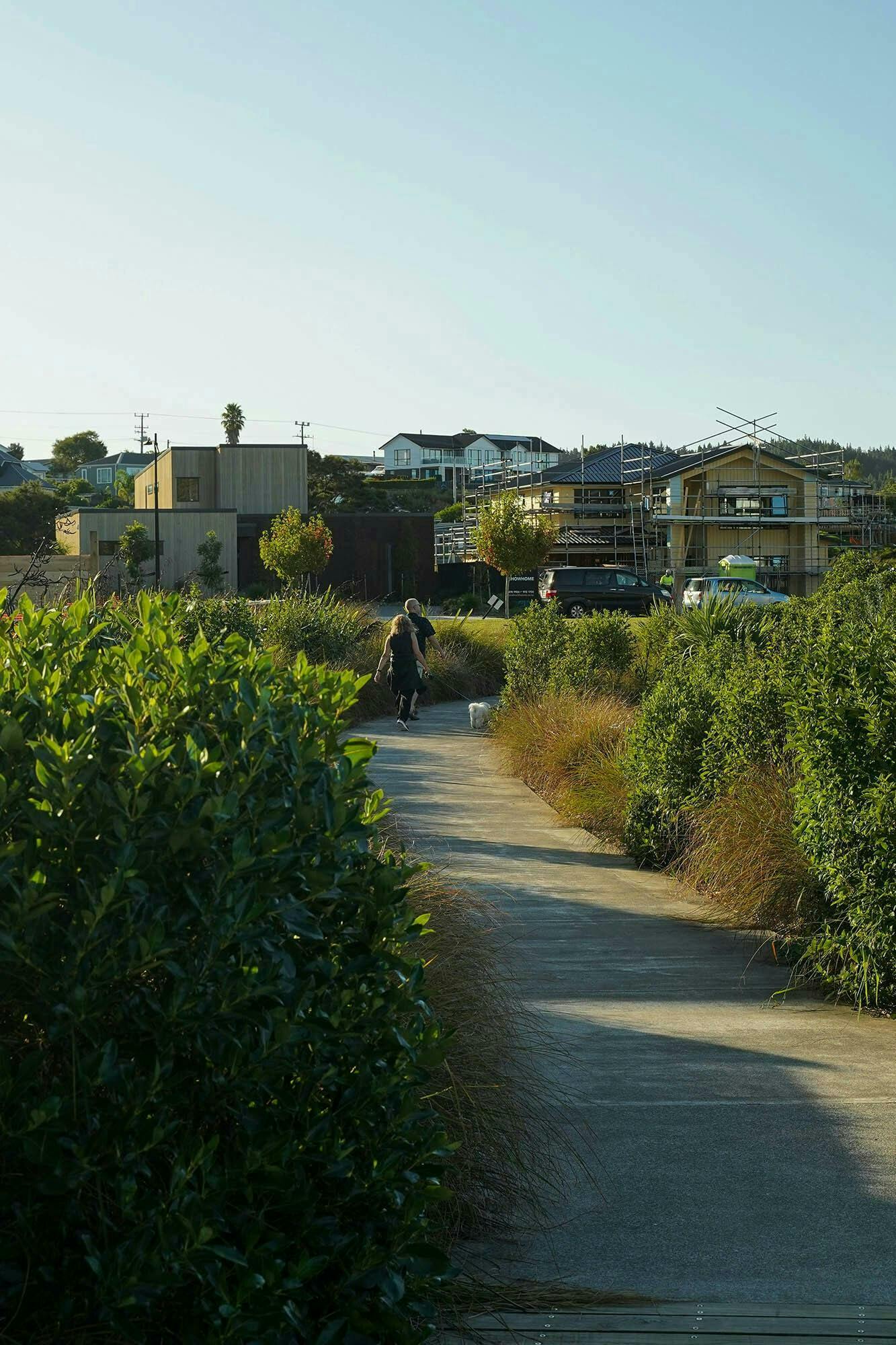 Riverhead Deacon Point Masterplan Masterplan Construkt Architects Auckland Walkway