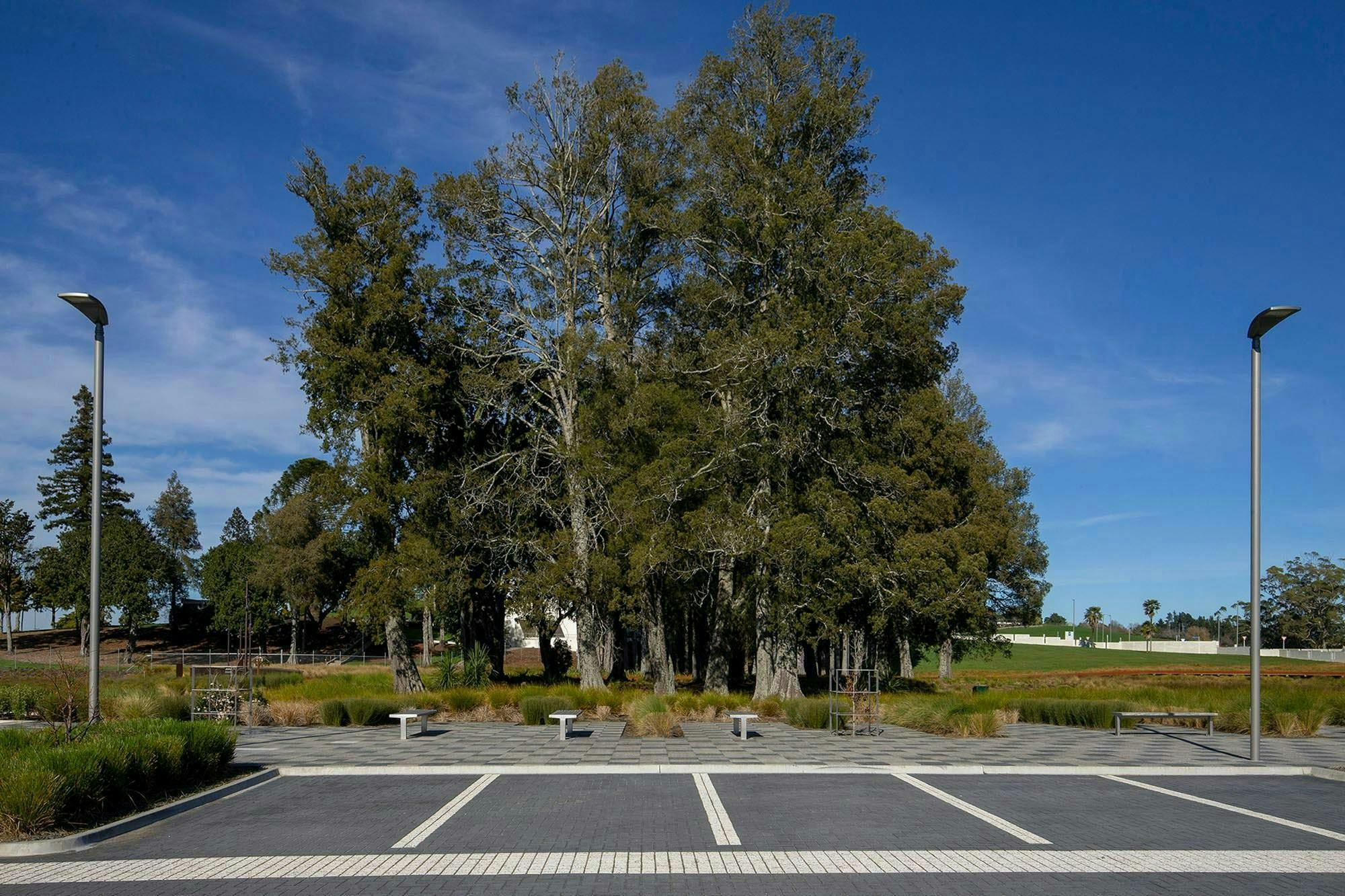 Temple View Masterplan Masterplanning Construkt Architects Auckland Parking 2