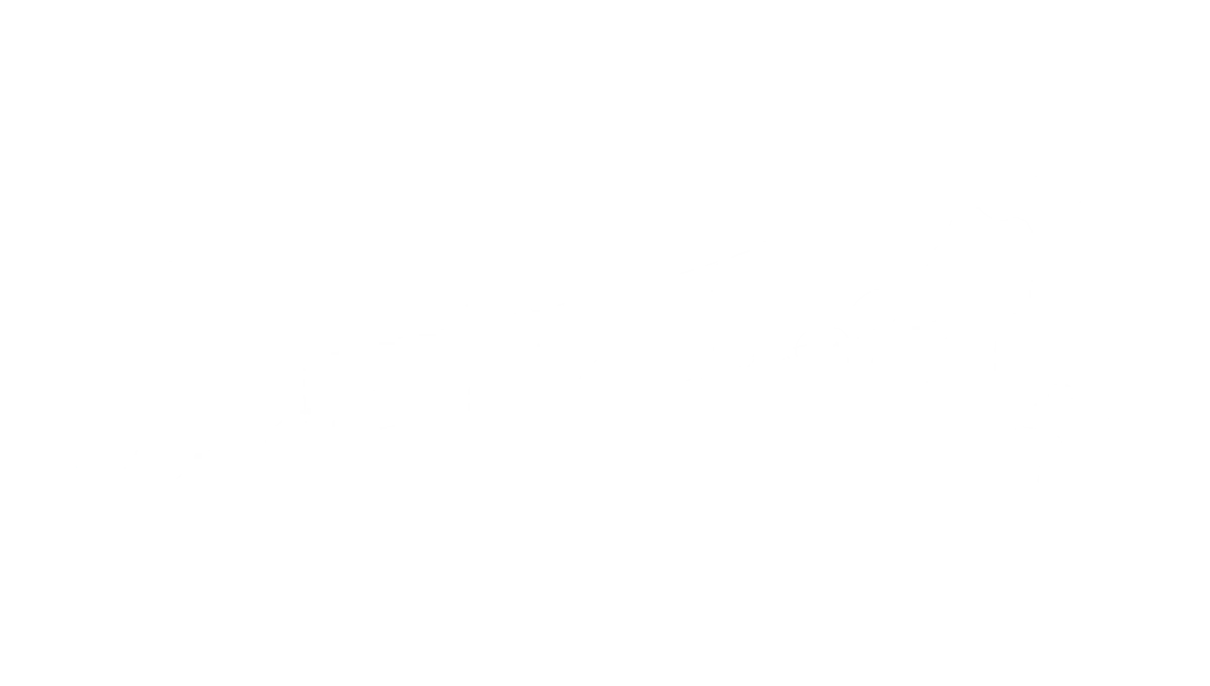 Waikopua Lot 12 Section Sketch Construkt Architects