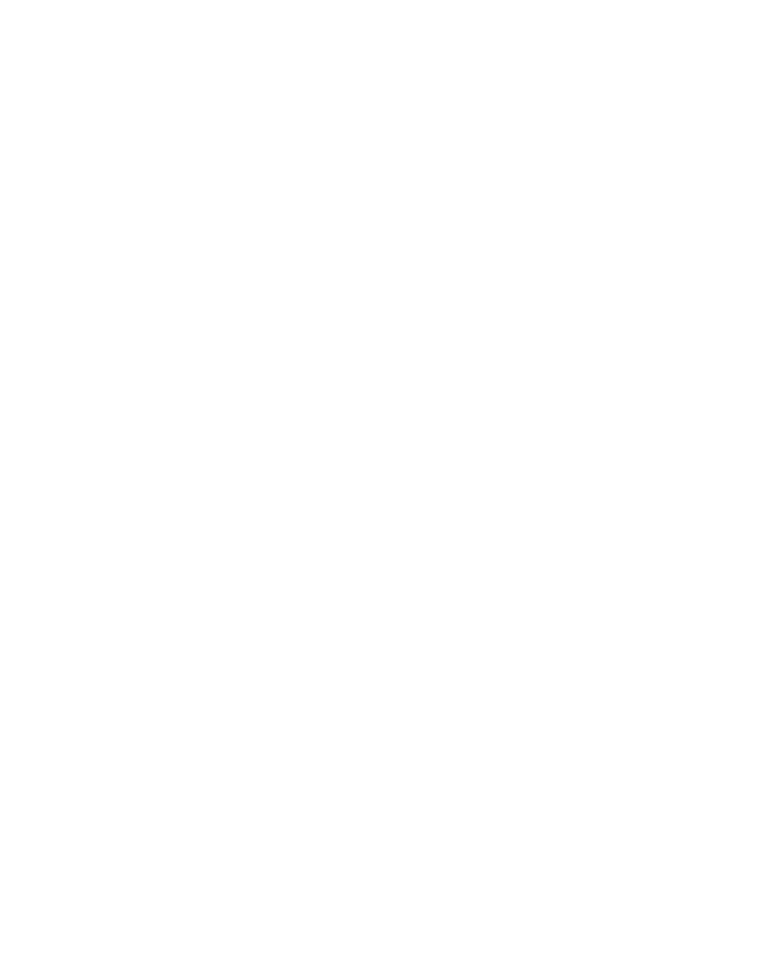 Waikopua Lot 12 Sketch Construkt Architects